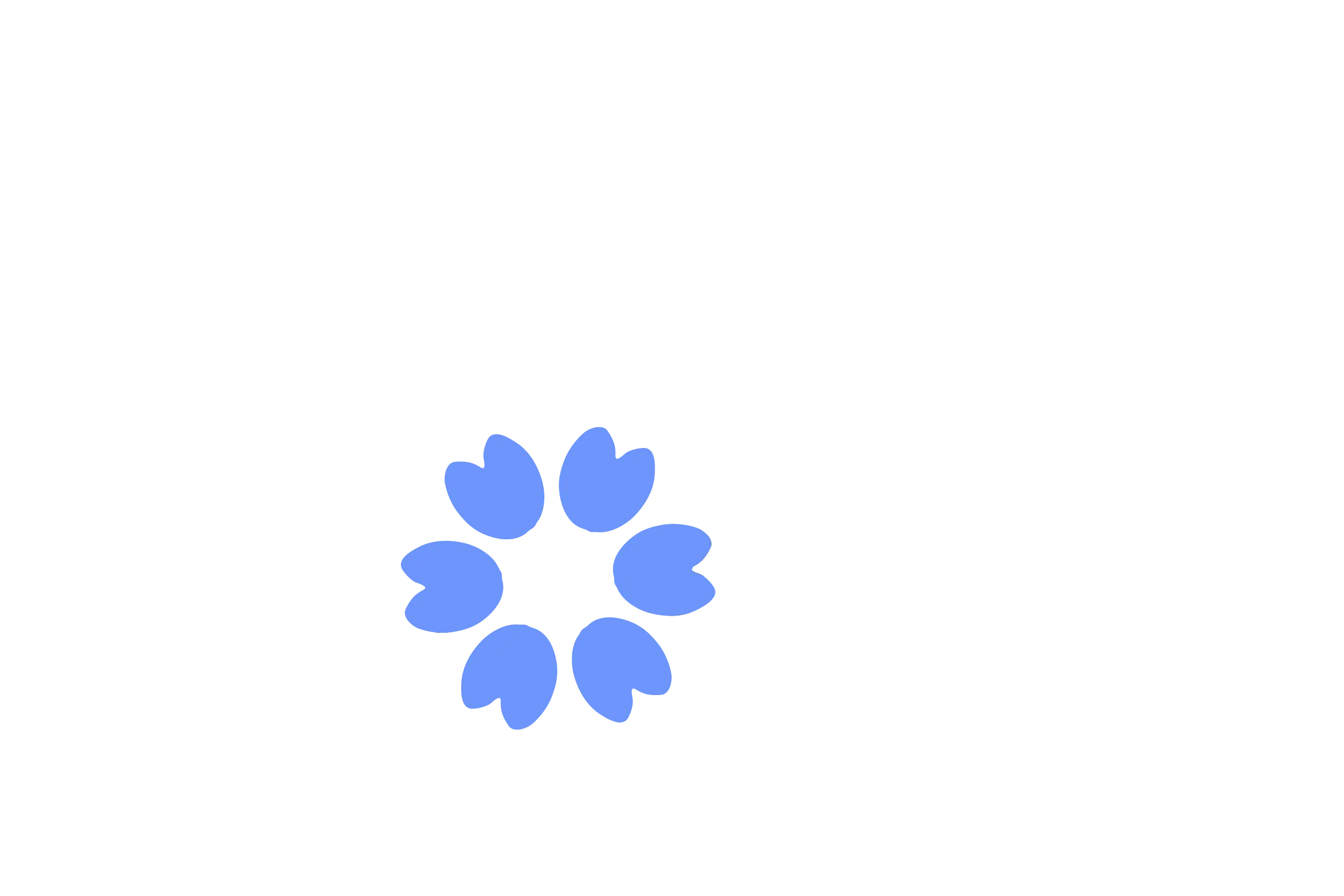 Seedtobloom